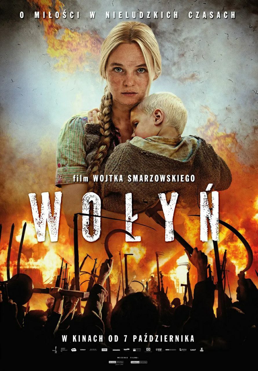 沃伦 Wołyń (2016) 1.96 GB