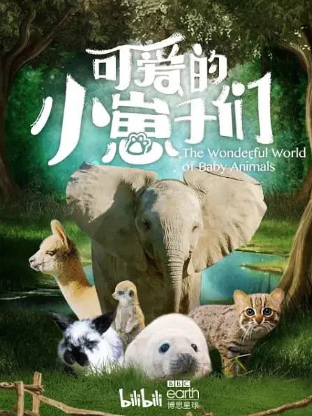 可爱的小崽子们 The Wonderful World of Baby Animals  1.13GB