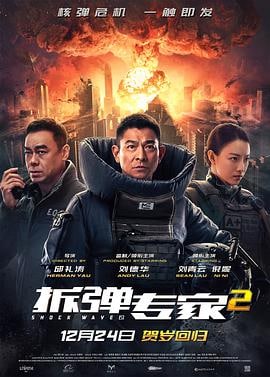 拆弹专家2, 2020.1080P