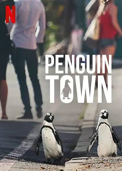 Penguin Town  不懂数学